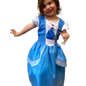 Disfraz De La Cenicienta  x 1