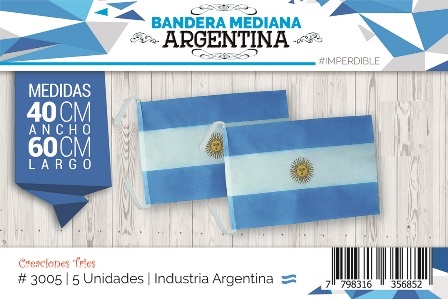 Bandera Argentina mediana (40x60) x1