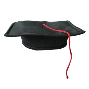 Gorro De Egresados De Tela x 1