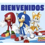 Afiche Bienvenidos Sonic x1
