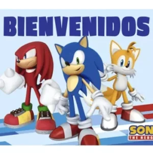Afiche Bienvenidos Sonic x1
