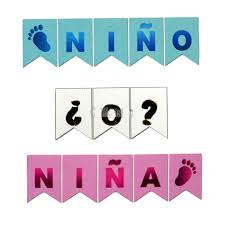 Banderin "Niño ¿o? Niña" x1