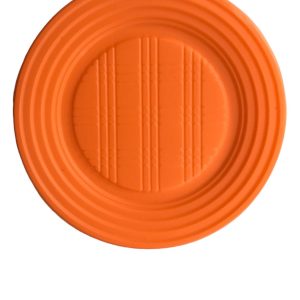 Platos Descartables Naranja Fluo Chico x 48