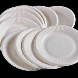 Platos Descartables Chicos x48