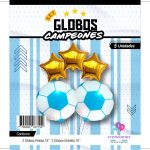 Set campeon pelota celeste y blanca x1