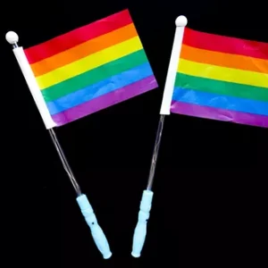 Varita Con Luz Bandera LGBTQ x1
