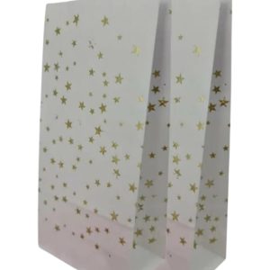 Bolsa de papel de estrella x10